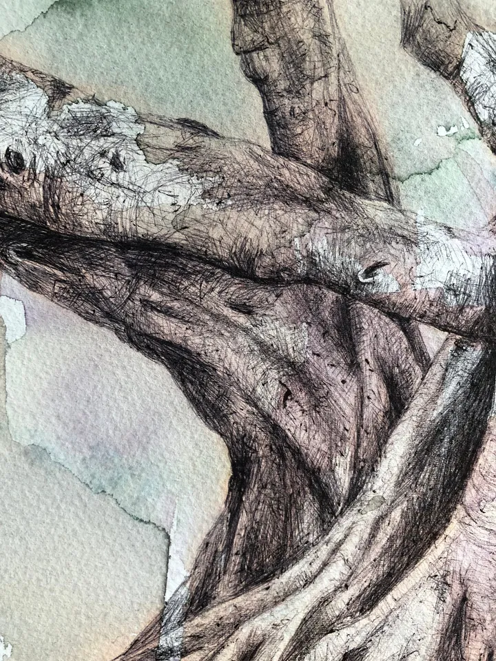 Original Watercolor Painting Tree Artwork Forest Painting