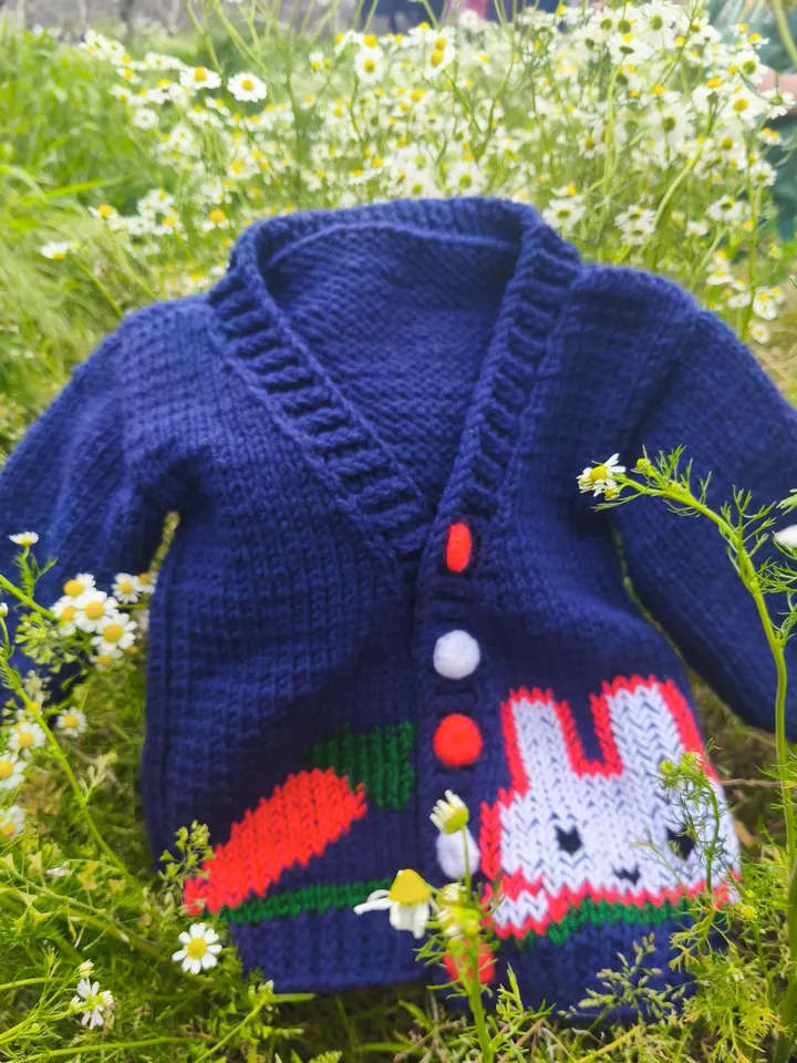 Adorable Baby Cardigan with Hand-Knitted Buttons and Cute Embroidery