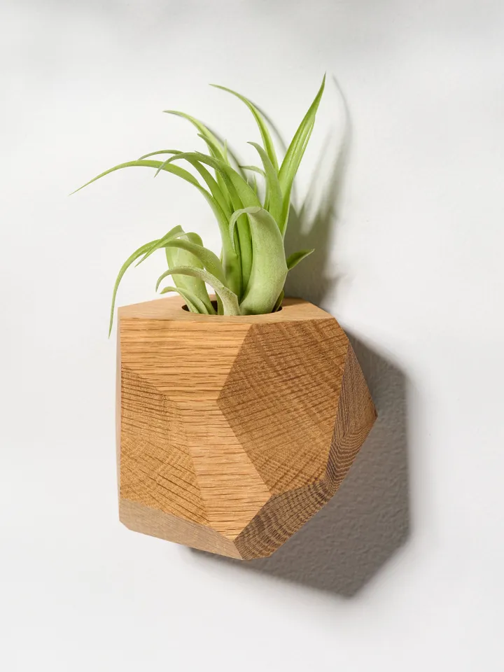 Set of 4 White Oak Geometric Air Plant Holder