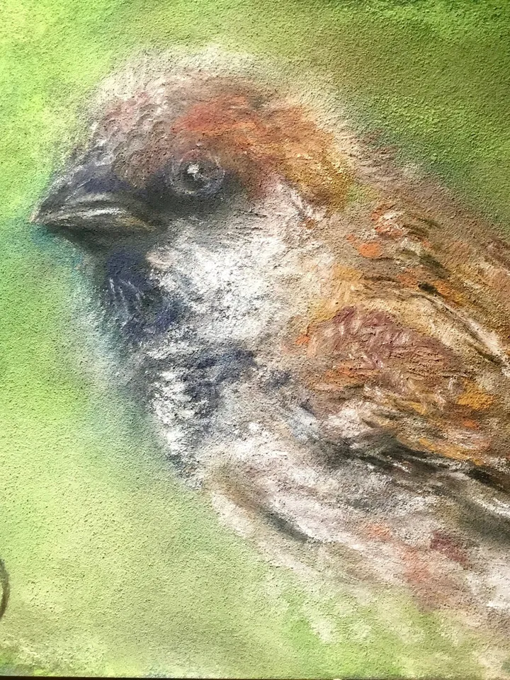 Sparrow bird original soft pastel painting on cardboard,nature,birds paintings,small painting gift,home decoration.
