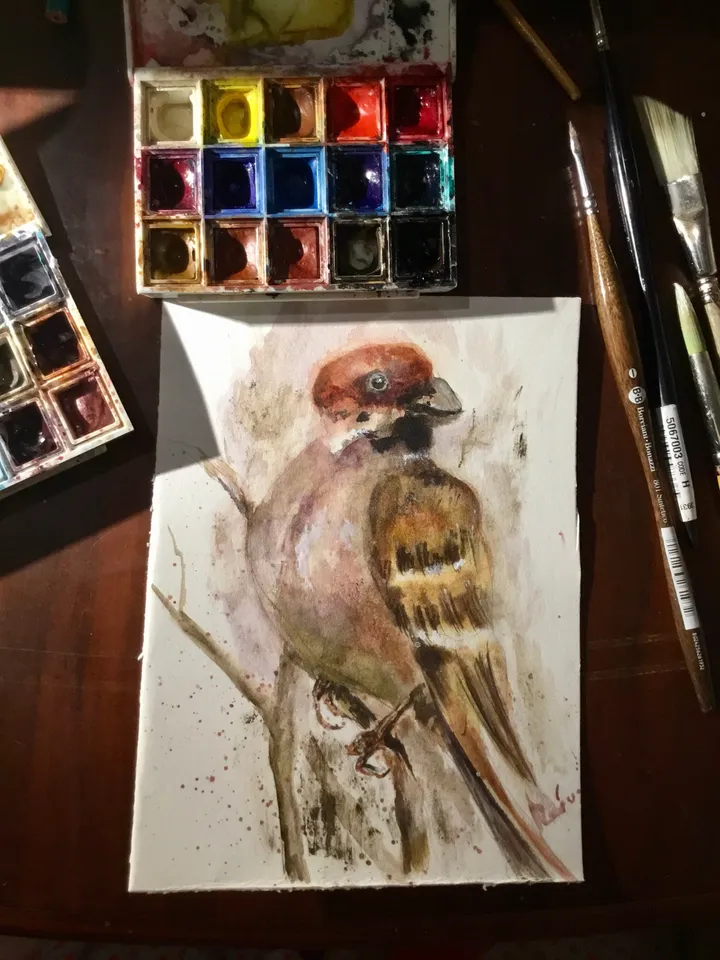 Bulfinch bird original watercolour painting,unique handmade gift,home decoration,birds painting,small paintings wall decoration.