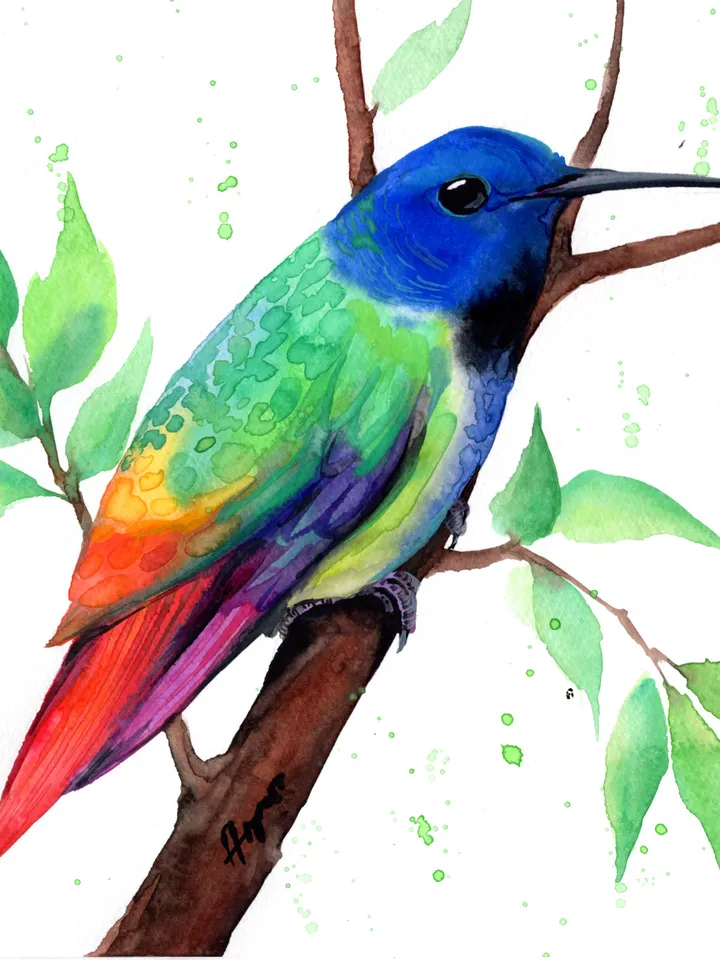 Colorful Hummingbird original watercolor, bird on the branch painting, colibri portrait wall decor, 8x11 in room art for bird lovers by Anne Gorywine