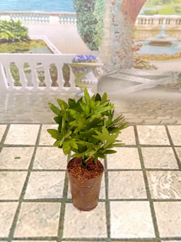 Bush of a plant in a pot for a dollhouse.1:12 scale.