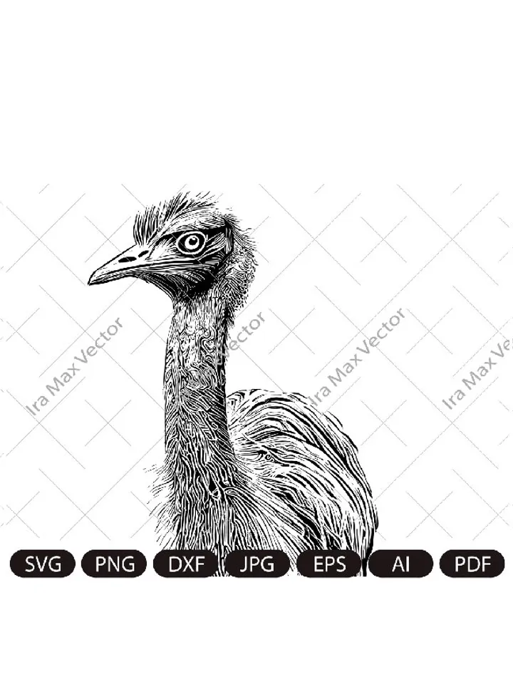 Ostrich Peeking SVG, Ostrich Silhouette dxf, SVG, Farm life clipart, iron on, laser cut, vinyl shirt design, Vector OSTRICH, Digital image,