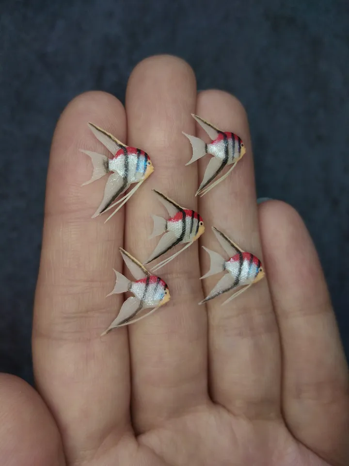 Set of miniature Manacapuru angelfish, tiny fish for diorama, dollhouse or resin art