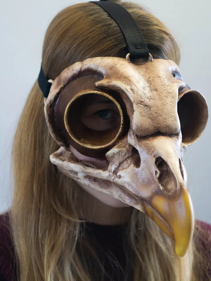 Bird Skull Mask, Owl Skull, Viking skull Mask, bird mask, plague doctor mask, steampunk bird mask, bird beak mask, Voodoo Mask, Raven Mask