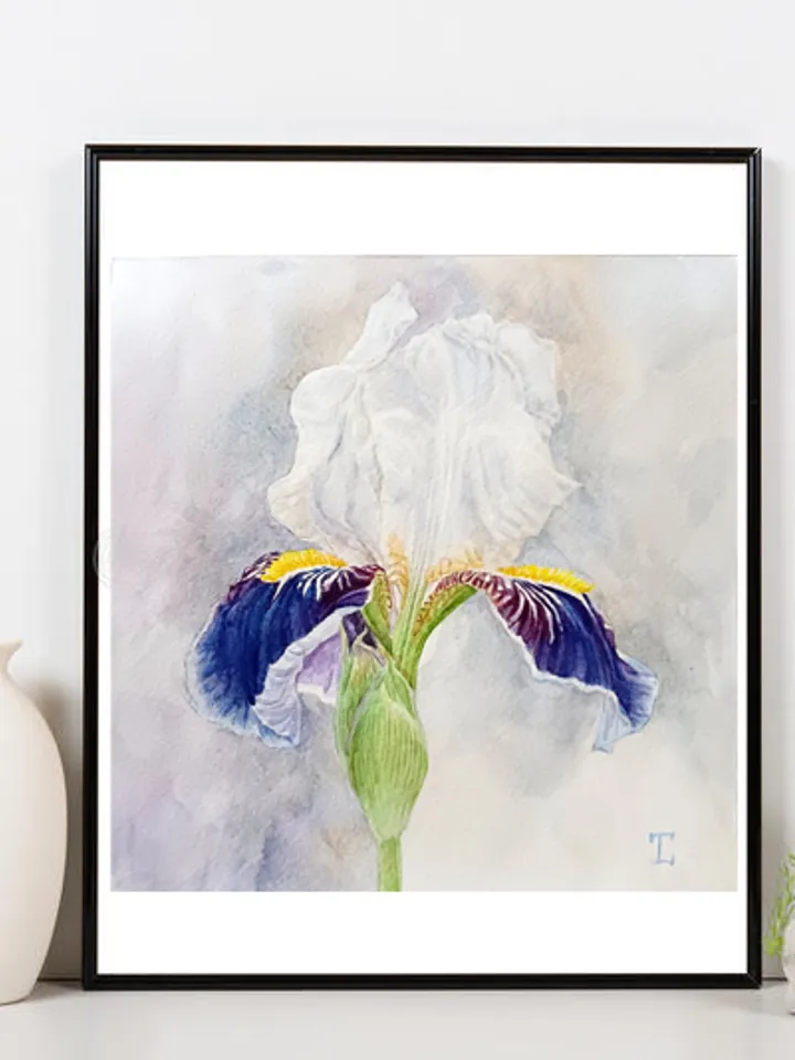 "Blue and White Iris" Flower Original Wall Art Painting Watercolor Artwork picture floral, 17x17cm.