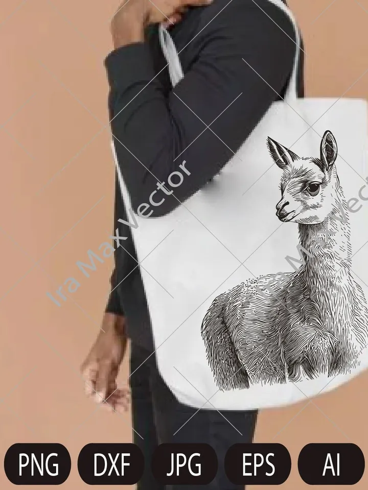 Llama svg, alpaka svg, farm animals clipart, Llama Printable Png, Llama shirt svg, lama detailed