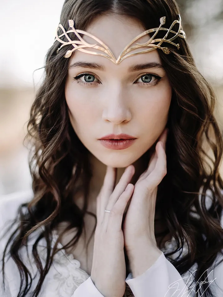 Tiara for wood nymph from branches and leaves Crown of Forest dryad Silver diadem, fantasy fairy elven Princess Kementar