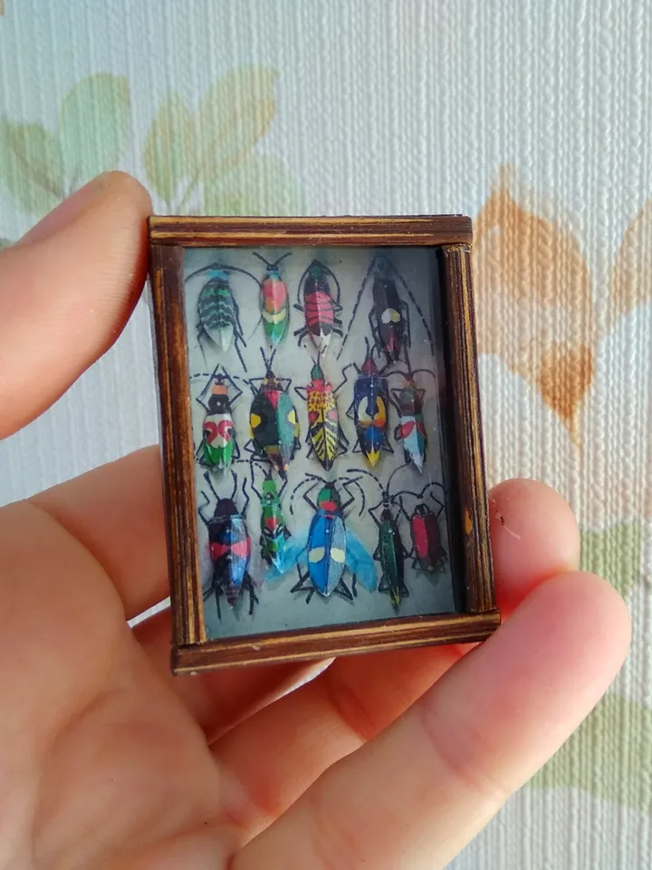 Collection of butterflies under glass for dollhouses.1:12 scale.