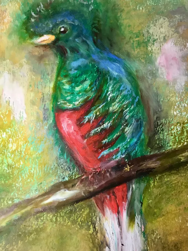 Quetzal bird,original oil pastel painting,exotic birds painting,colourful oil pastel painting,affordable art,wall decoration gift.
