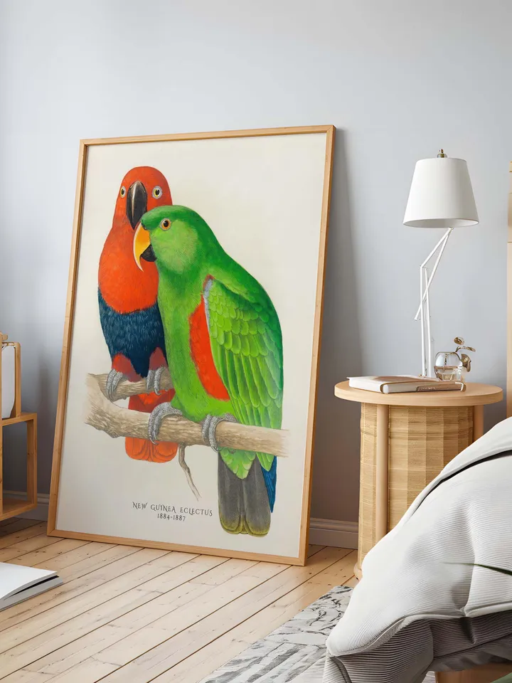 80+ Vintage Parrot Illustration Bundle Colorful Bird Wall Art Retro Parrot Prints Eclectic Antique Style Digital Download for Bird Lovers