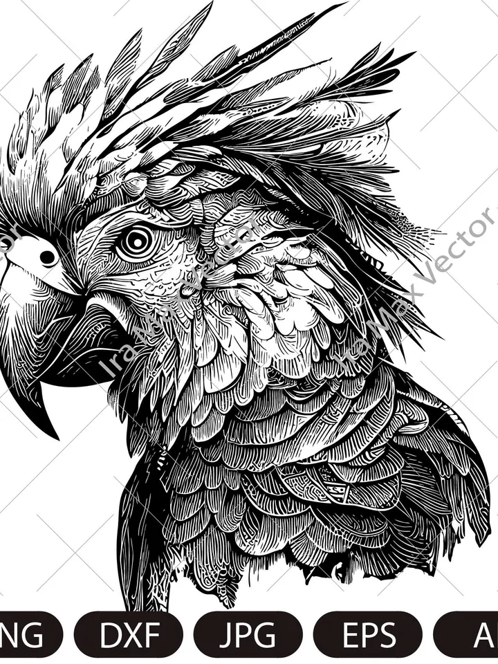 Parrot Svg, Exotic bird svg, Macaw svg, Silhouette dxf, cricut svg, bird Clipart, Parrot face svg, vector bird , Parrot head svg, digital