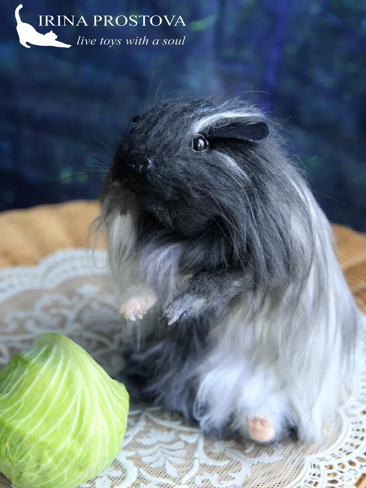 Guinea pig Tuffy .Plush animals. Ooak toy. Guinea pig stuffed toy