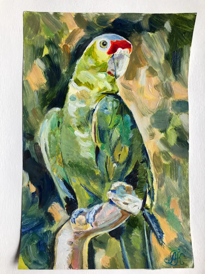 Parrot original oil painting bird portrait modern painting wall art 9x6 inches
