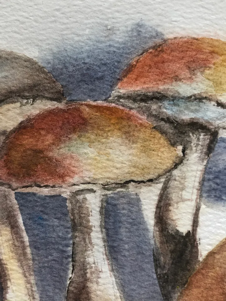 Mushrooms original watercolour painting hand painted modern painting wall art original artwork 8x11 inch