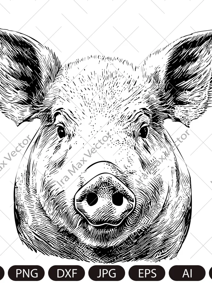 Pig Svg,Pig face, Piglet Head, Pig Silhouette, Pig detailed portrait, Farm Animals Silhouette