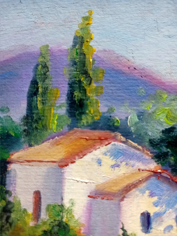 rural-rustic landscape with flower fields cardboard oil house in the field lavender beautiful small scenery flowers nature panoramic scenery