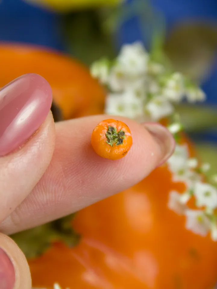 TUTORIAL Miniature persimmon with polymer clay