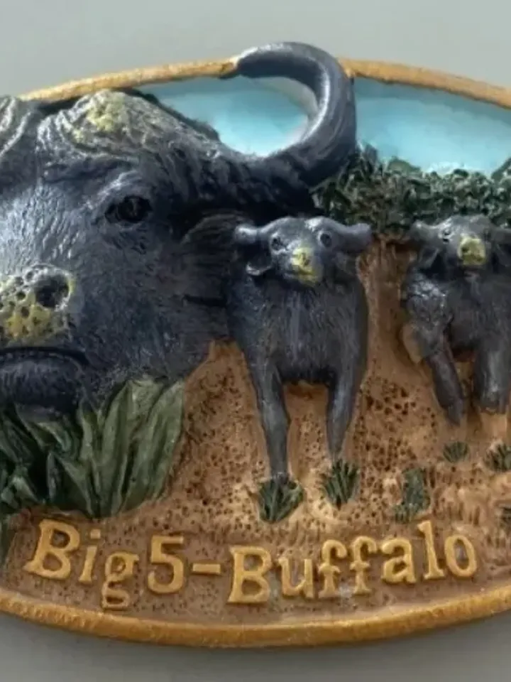 3D Resin magnetic fridge stickers, tourist souvenirs (S.Africa).