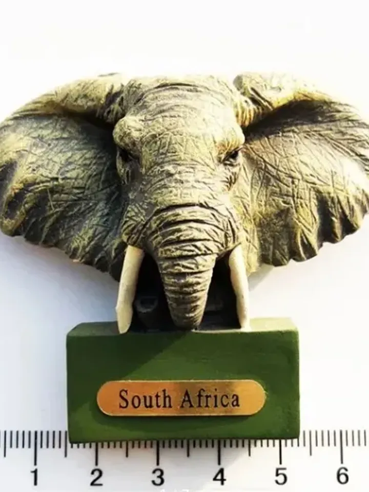 3D Resin magnetic fridge stickers, tourist souvenirs (S.Africa)