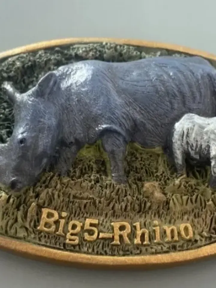 3D Resin magnetic fridge stickers, tourist souvenirs (S.Africa).