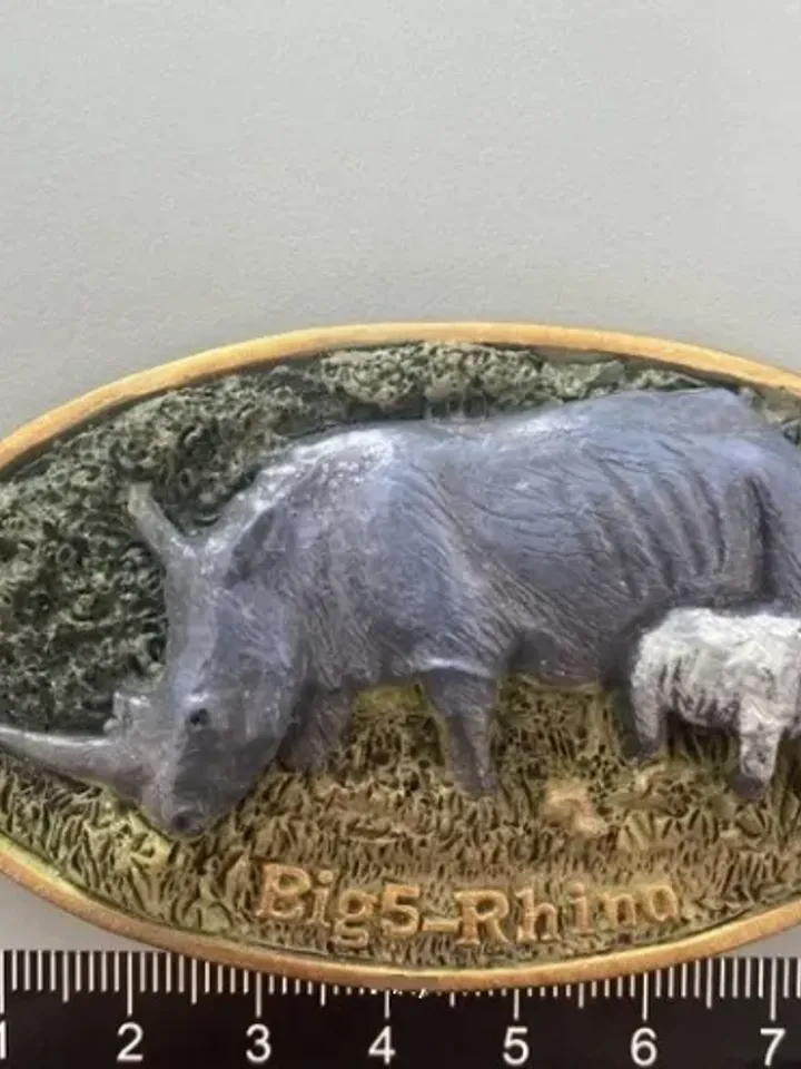 3D Resin magnetic fridge stickers, tourist souvenirs (S.Africa).