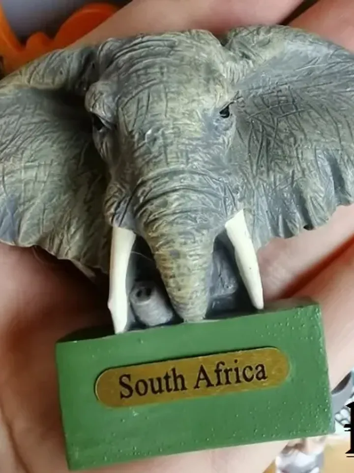 3D Resin magnetic fridge stickers, tourist souvenirs (S.Africa)