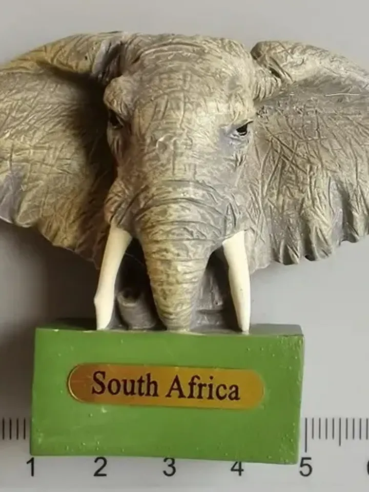 3D Resin magnetic fridge stickers, tourist souvenirs (S.Africa)