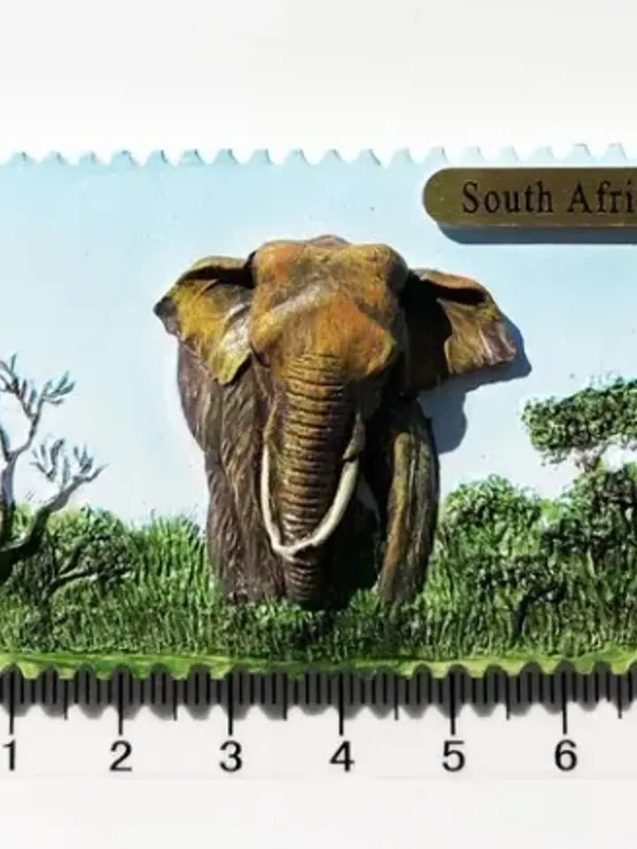 3D Resin magnetic fridge stickers, tourist souvenirs (S.Africa)