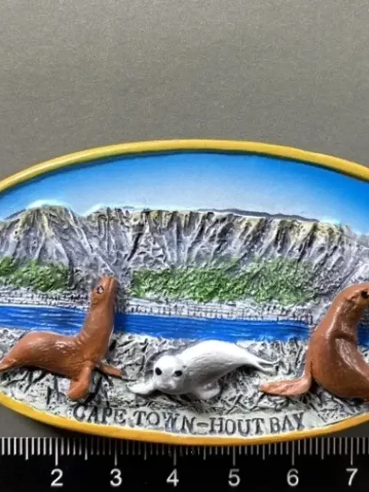 3D Resin magnetic fridge stickers, tourist souvenirs (S.Africa)