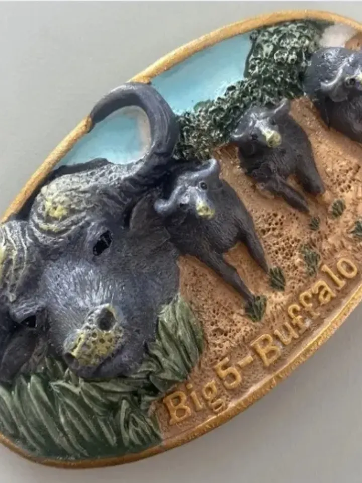 3D Resin magnetic fridge stickers, tourist souvenirs (S.Africa).