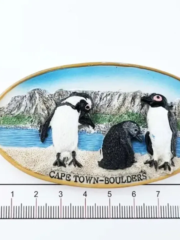 3D Resin magnetic fridge stickers, tourist souvenirs (S.Africa)
