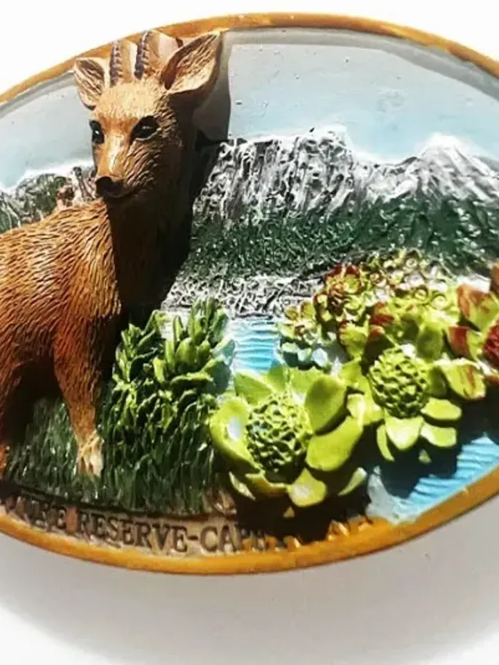 3D Resin magnetic fridge stickers, tourist souvenirs (S.Africa).