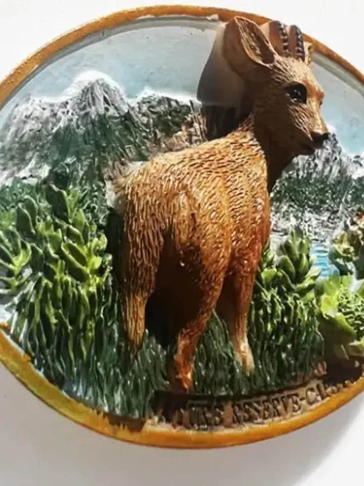3D Resin magnetic fridge stickers, tourist souvenirs (S.Africa).
