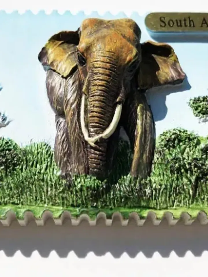 3D Resin magnetic fridge stickers, tourist souvenirs (S.Africa)