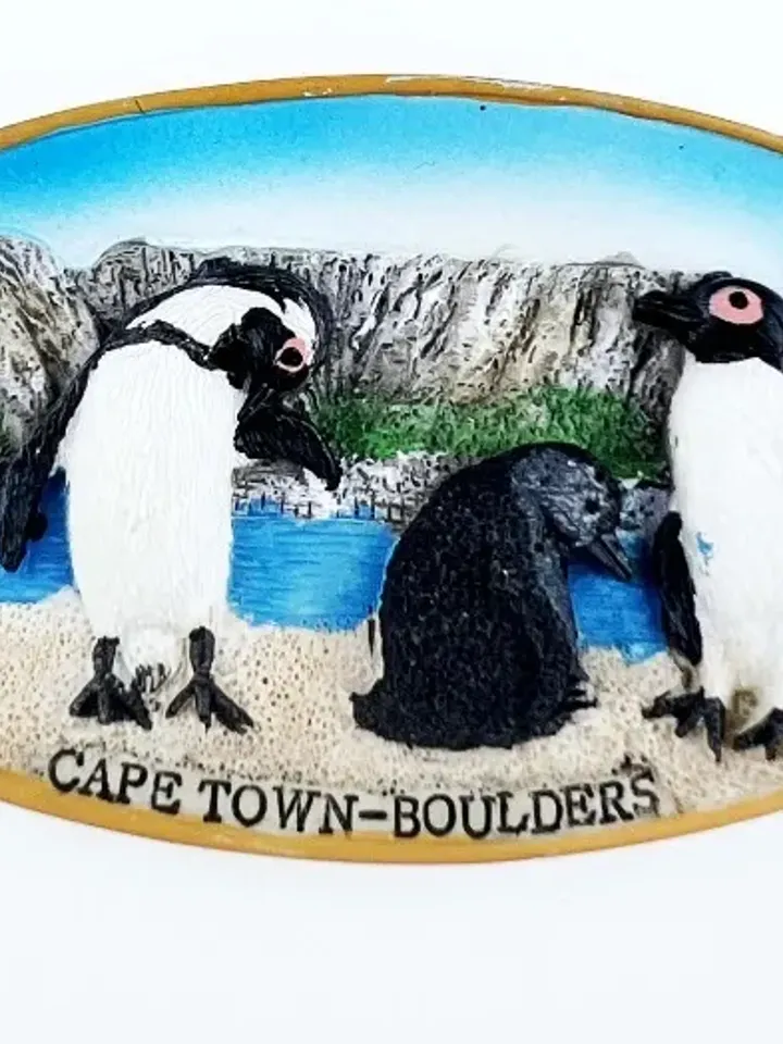 3D Resin magnetic fridge stickers, tourist souvenirs (S.Africa)