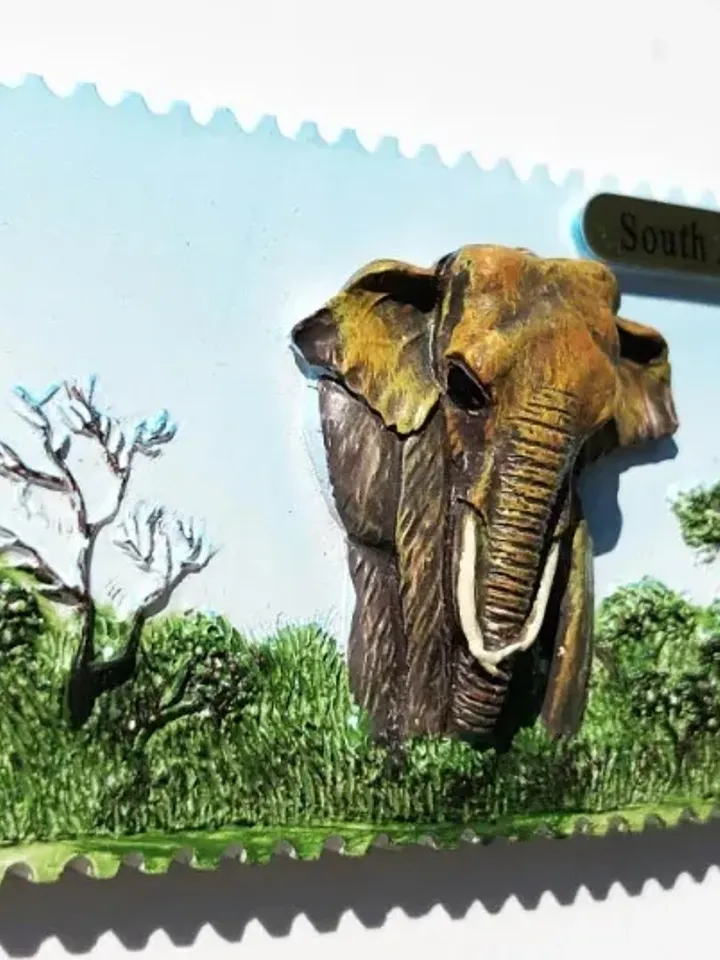 3D Resin magnetic fridge stickers, tourist souvenirs (S.Africa)