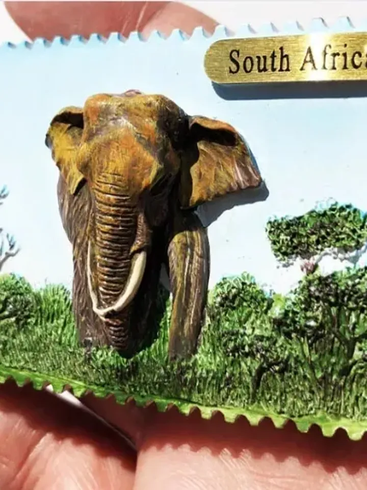 3D Resin magnetic fridge stickers, tourist souvenirs (S.Africa)
