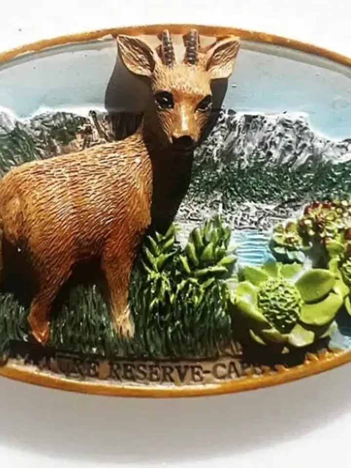 3D Resin magnetic fridge stickers, tourist souvenirs (S.Africa).