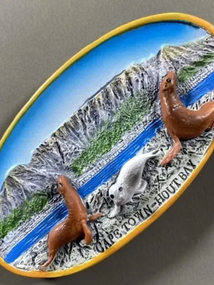 3D Resin magnetic fridge stickers, tourist souvenirs (S.Africa)