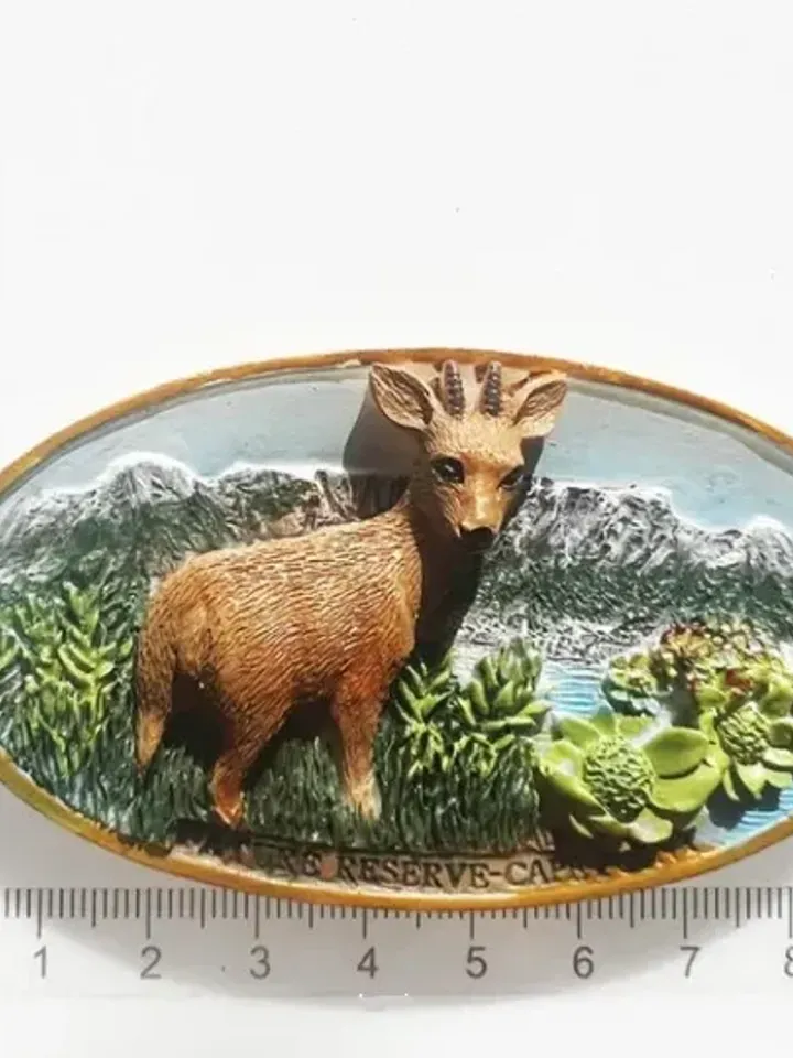 3D Resin magnetic fridge stickers, tourist souvenirs (S.Africa).