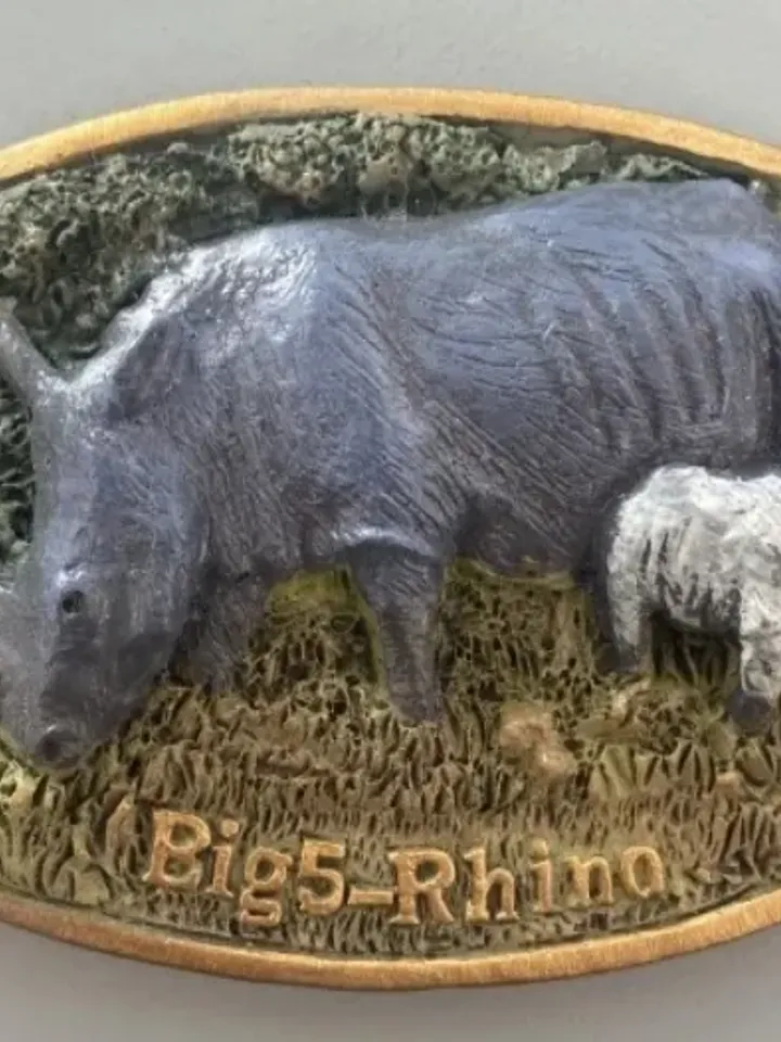 3D Resin magnetic fridge stickers, tourist souvenirs (S.Africa).