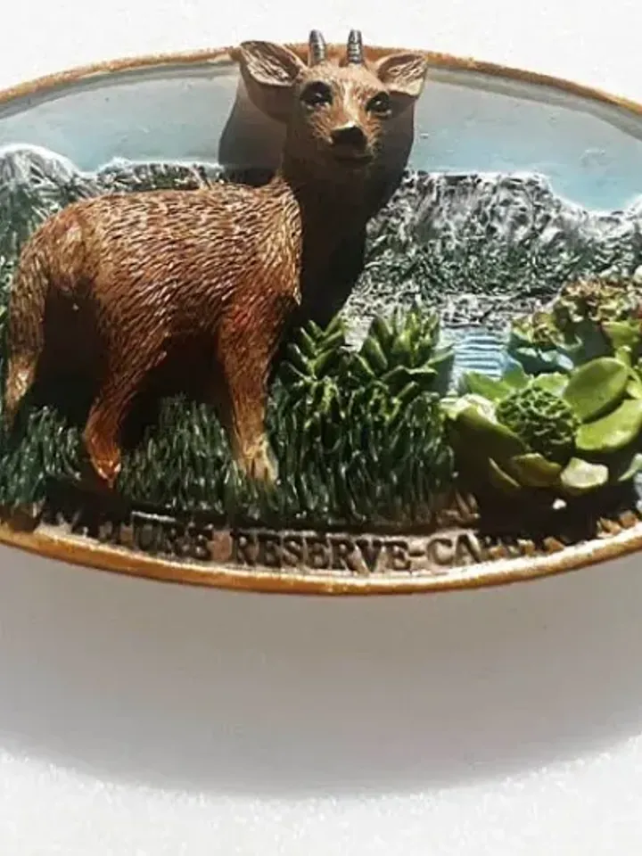 3D Resin magnetic fridge stickers, tourist souvenirs (S.Africa).