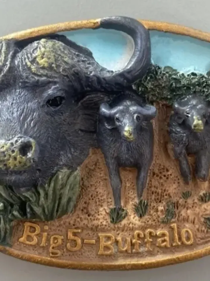 3D Resin magnetic fridge stickers, tourist souvenirs (S.Africa).