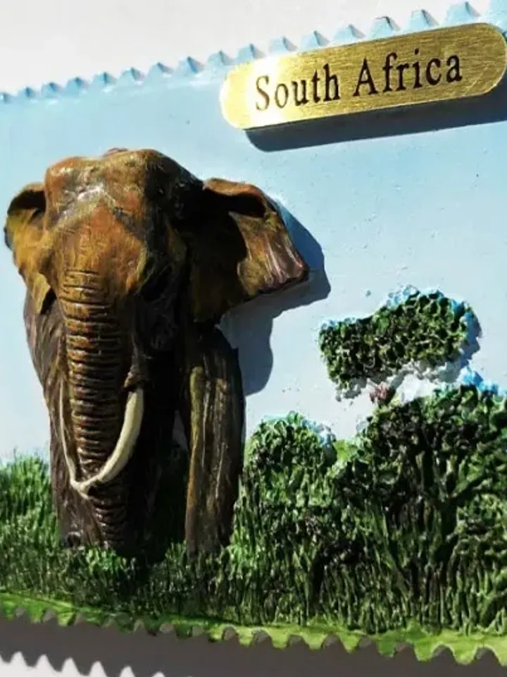 3D Resin magnetic fridge stickers, tourist souvenirs (S.Africa)