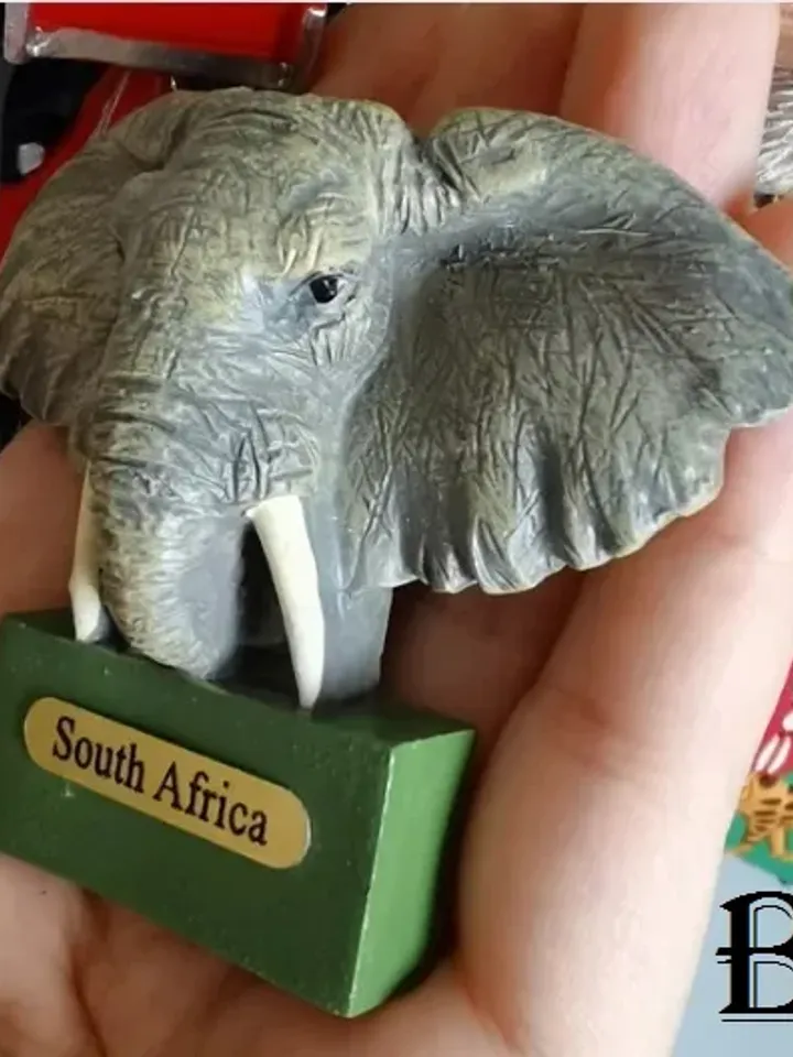 3D Resin magnetic fridge stickers, tourist souvenirs (S.Africa)