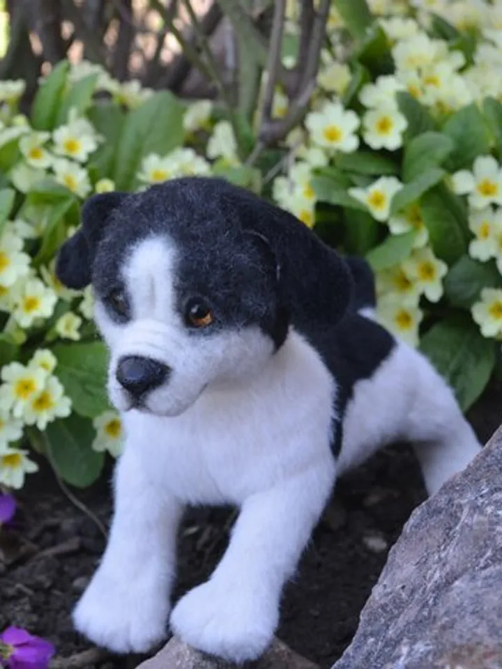 Stuffed toy puppy.