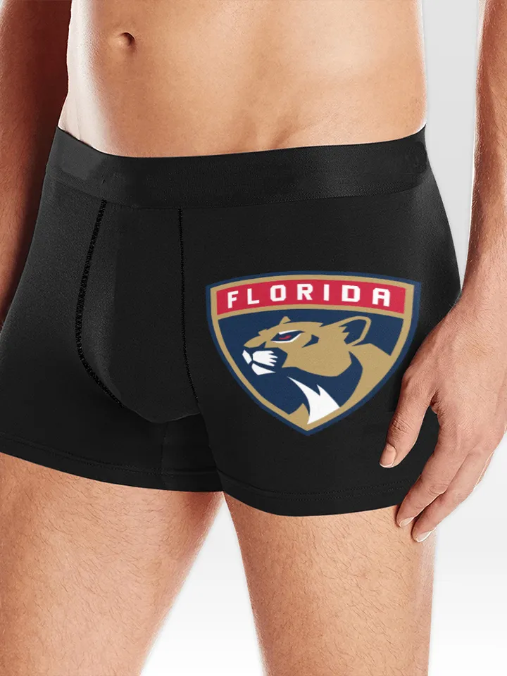 Panthers Boxer Briefs Underwear