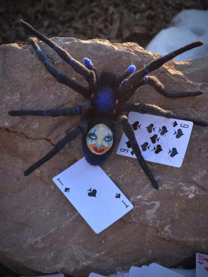 Spider hypnosius.